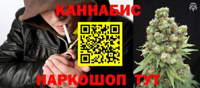 индика Мариинск