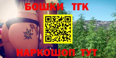индика Мариинск