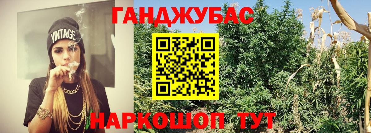Бошки марихуана MAZAR  Бошки марихуана сатива  Вход с VPN  Губаха  Конопля White Widow 
